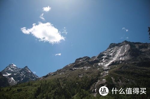 环保型猫砂研究:探讨新型环保猫砂材料及其优缺点