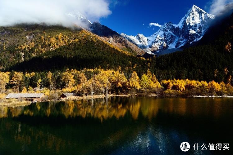 环保型猫砂研究:探讨新型环保猫砂材料及其优缺点